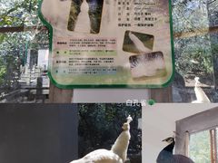 -杭州动物园