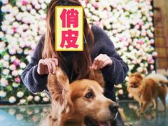 -百好乐宠物友好餐厅(朝外大街店)