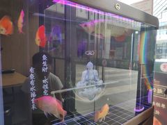 -零·壹新疆羊肉抓饭