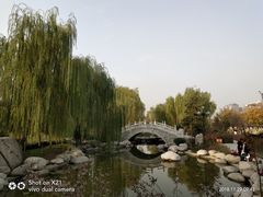景点-西安青龙寺遗址景区