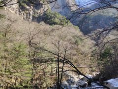 -青峰峡国家森林公园