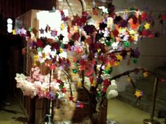 -长藤鬼校(千禧店)