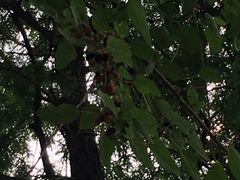 -堤角公园