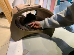 -小时光咖啡馆(开森度假森林店)