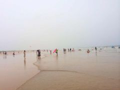 日照海滨国家森林公园-日照海滨国家森林公园