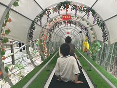 -藏龙百瀑风景区