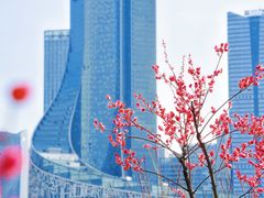 -天鹅湖体育公园