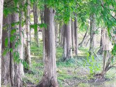 -天生桥景区