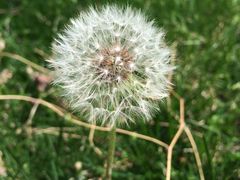 -北京宽沟会议中心