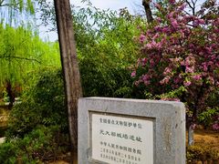 -元大都城垣遗址公园