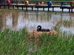 -南大港湿地风景区