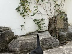 -香然会·园林雅宴(陆家嘴店)
