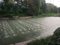 -青年湖公园水上世界