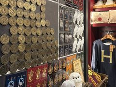 -九又四分之三站台哈利波特商店