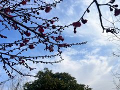 -杭州半山国家森林公园