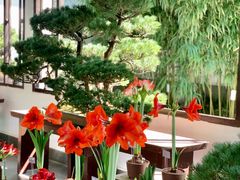 -杭州植物园