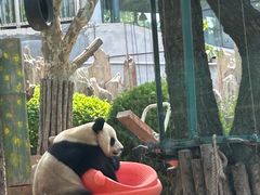 -大连森林动物园