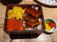 鳗鱼盖饭-Hatsune隐泉日式料理(SKP店)
