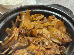 -百家春好德来姜母鸭