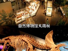 -三星堆博物馆