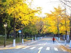 -八大关景区