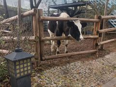 -海兰云天度假区温泉