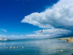 -青海湖国家重点风景名胜区