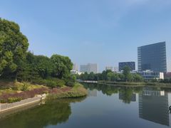 -大兴滨河森林公园