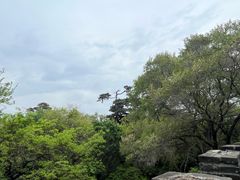 -北陵公园