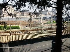 -莲花池公园