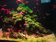 -多彩贵州城极地海洋世界