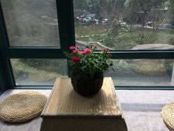 -Union瑜伽健康管理中心