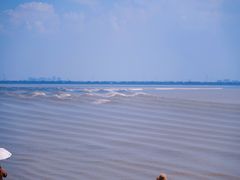 -观潮胜地公园