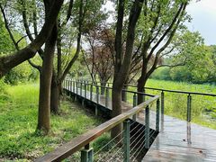 -昆山城市生态森林公园