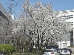 -上海大学(宝山校区)