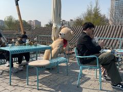 -BE YOLO必有乐&小红帽三明治