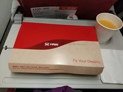 -海南海航航空信息系统公司