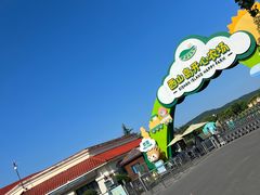 -苏州太湖西山岛开心农场