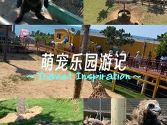 -西霞口神雕山野生动物世界