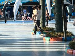 -海合安成都极地海洋公园