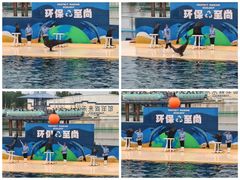 -秦皇岛乐岛海洋王国