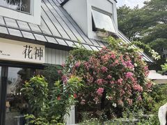 -花神·轻食简餐·咖啡馆·花卉绿植(荷兰花卉小镇店)