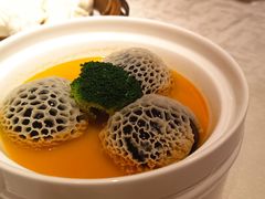 -南海渔村(珠江新城店)
