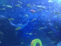 -海合安成都极地海洋公园