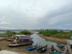 -盐洲岛