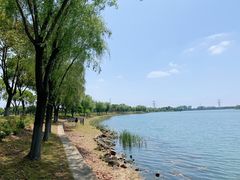 -漕湖湿地公园