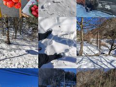 -秦岭风景区