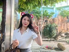 -泉州海丝野生动物世界