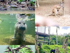 -广州长隆野生动物世界