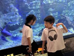 -江和美海洋公园